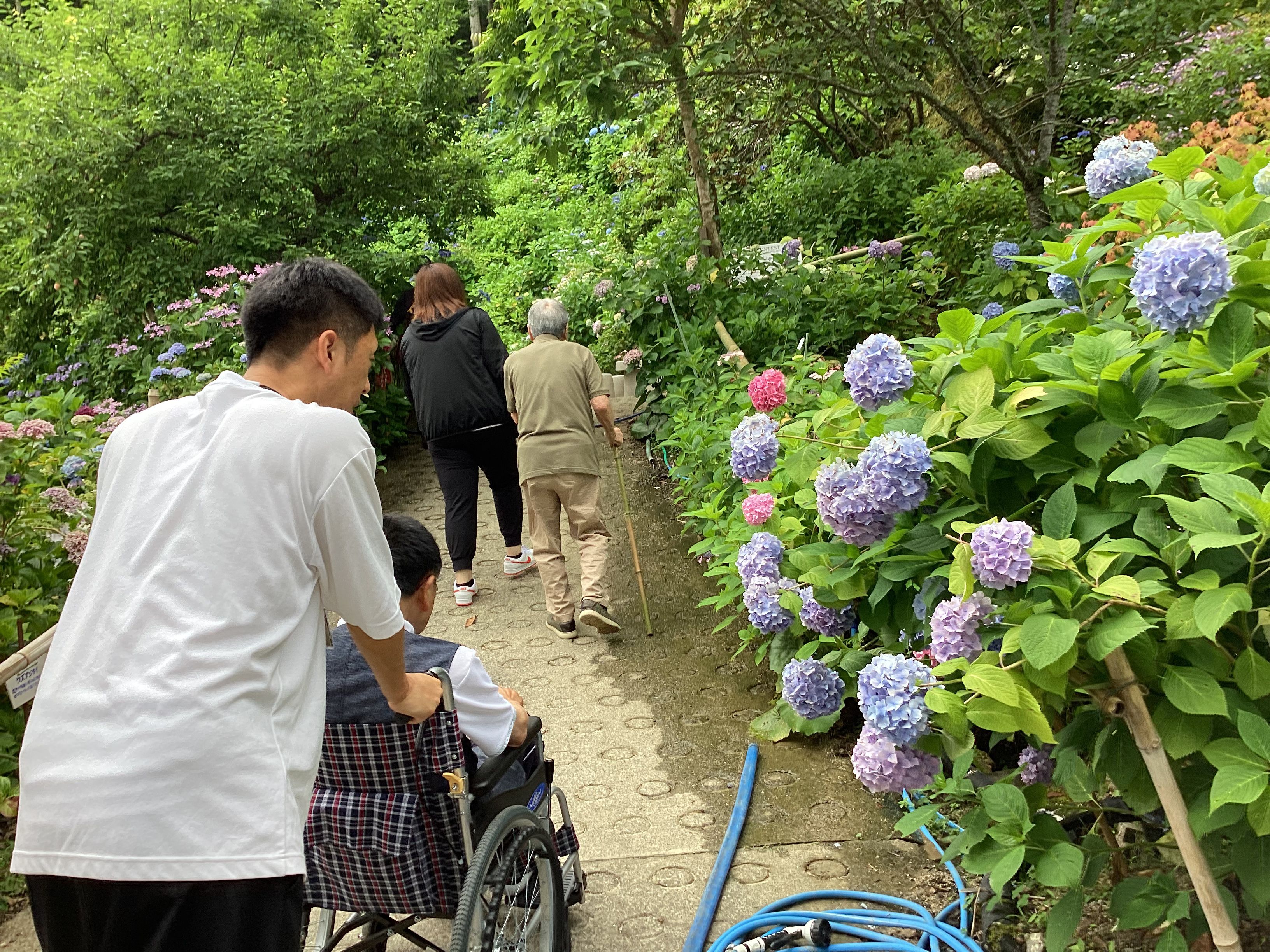 屋外活動の画像